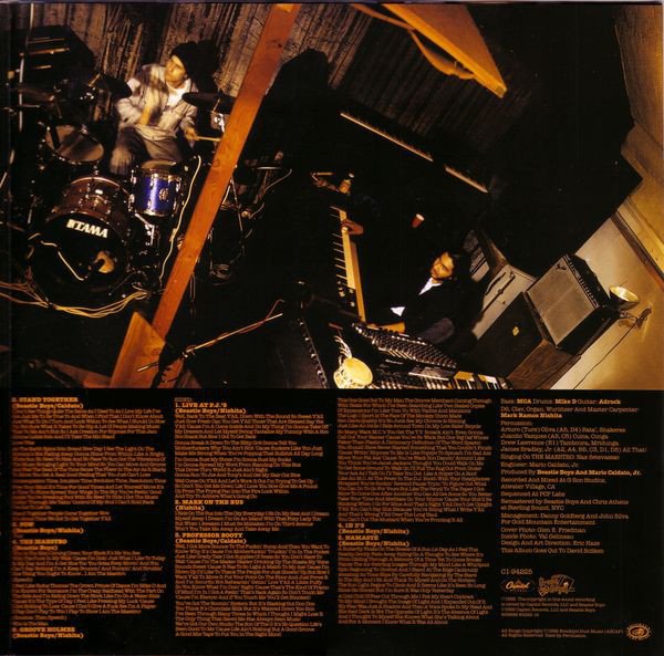 Beastie Boys ‎– Check Your Head (Vinyl)