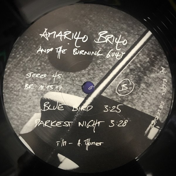 Amarillo Brillo And The Burning Gully ‎– Tundra Wind (Vinyl)