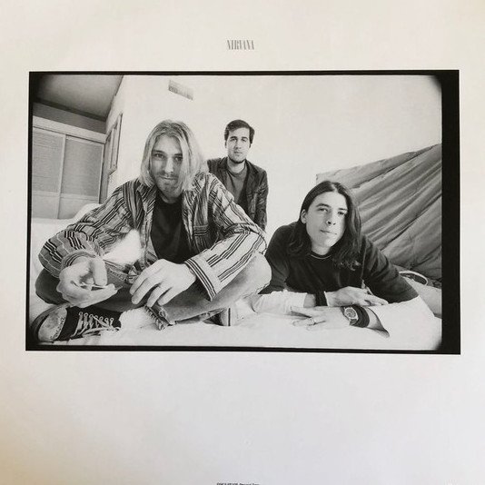 Nirvana - From The Muddy Banks Of The Wishkah (Vinyl, DLC)
