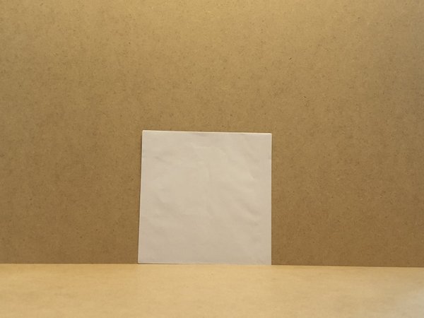 Single Papier Innenhüllen (100 Stück)