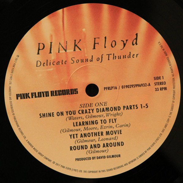 Pink Floyd - Delicate Sound Of Thunder (Vinyl)