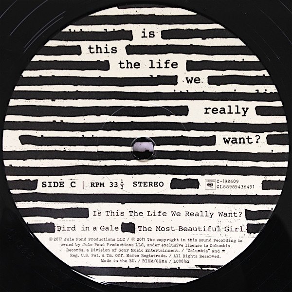 Roger Waters - Is This The Life We Really Want? (Vinyl, DLC)