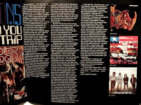 Various Artists - Off II Hallucinations (Psychedelic Underground) (Vinyl)