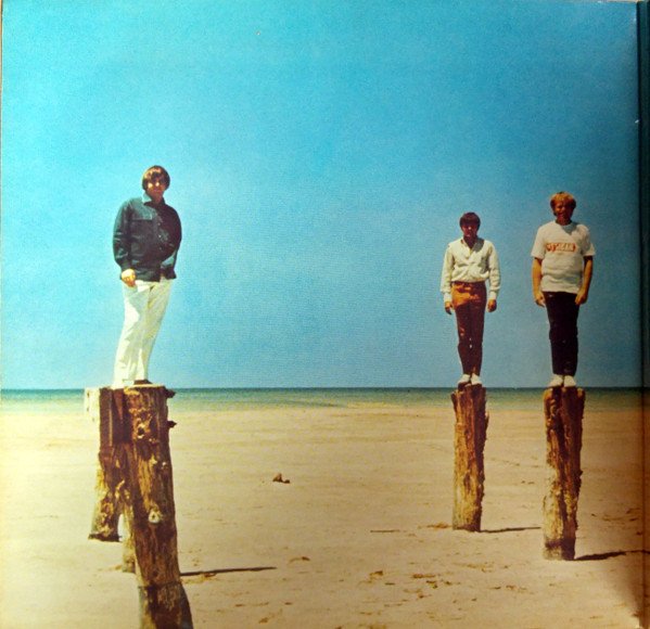Beach Boys - 20 Grössten Hits (Vinyl)