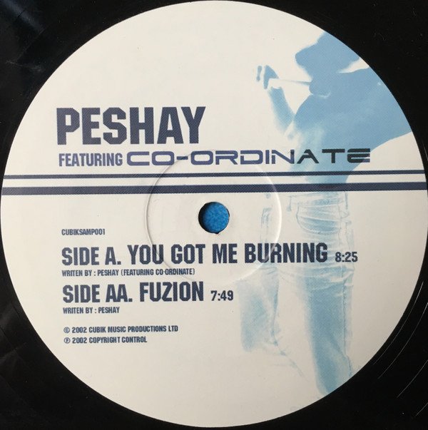 Peshay Featuring Co-Ordinate - You Got Me Burning  Fuzion (Vinyl Maxi Single)