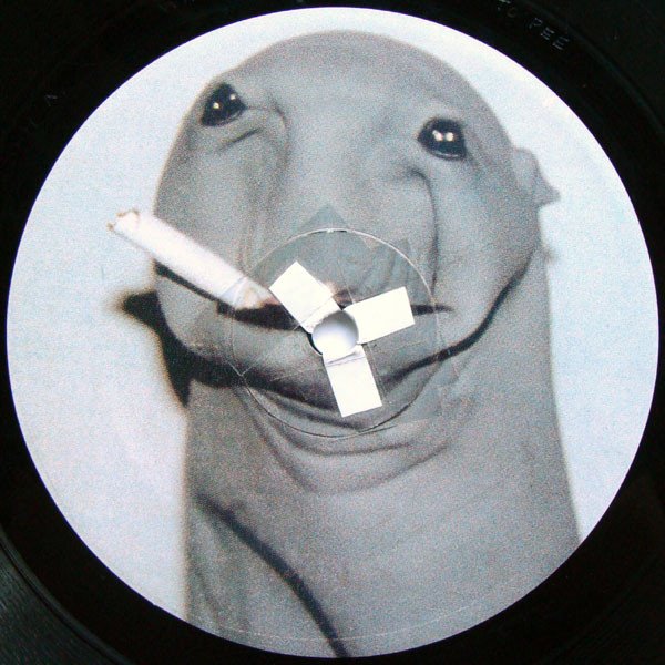 Skratchy Seal - Sealed Breaks (Vinyl)