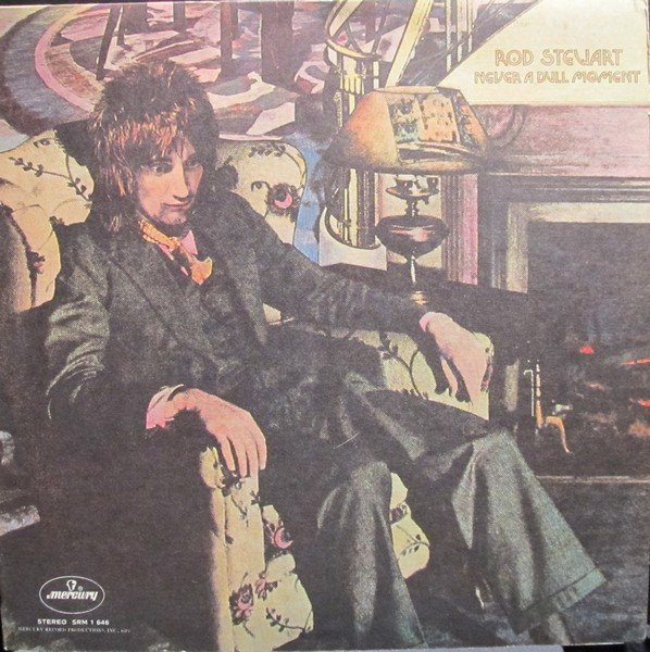 Rod Stewart - A Dull Moment (Vinyl)