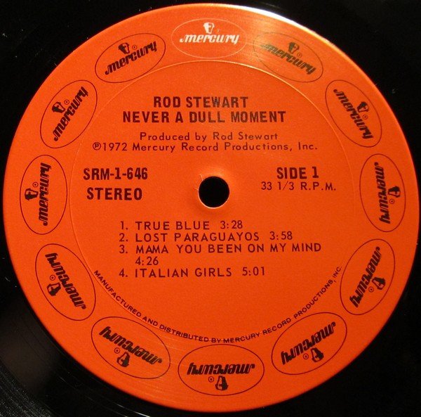Rod Stewart - A Dull Moment (Vinyl)