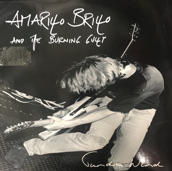 Amarillo Brillo And The Burning Gully ‎– Tundra Wind (Vinyl)