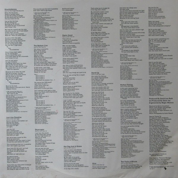 David Lee Roth - Skyscraper (Vinyl)