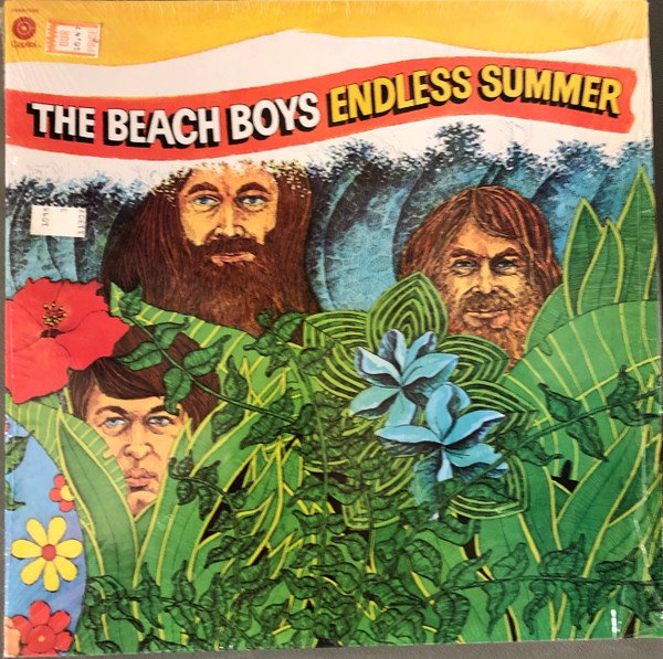 Beach Boys - Endless Summer (Vinyl)