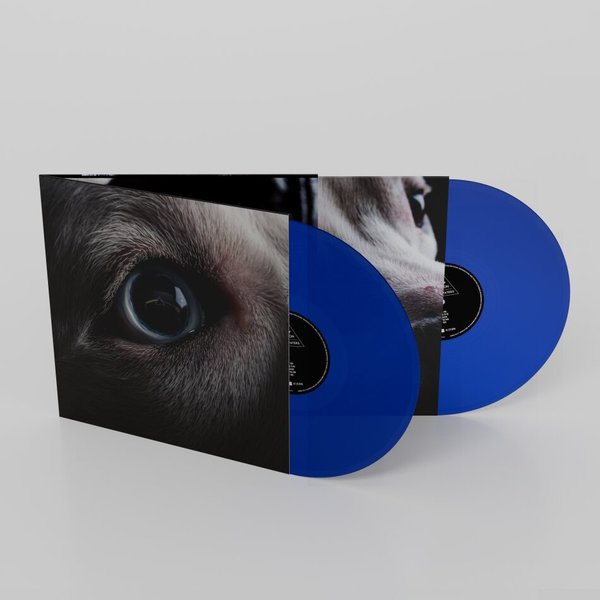 Roger Waters - Dark Side Of The Moon Redux (Blue Vinyl)